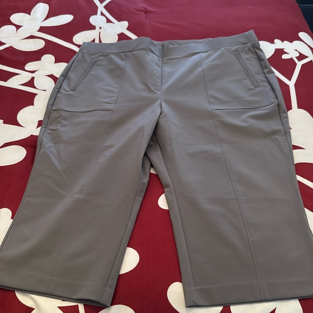Gray crop dress pants with pockets. Size 24 NWT